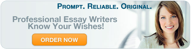 custom essay writing company